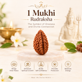 1 Mukhi Rudraksha