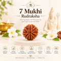 7 MUKHI RUDRAKSHA