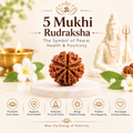 5 Mukhi Rudraksha